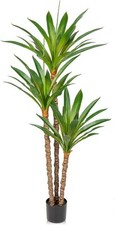 Artificial yucca tree for sale  SALFORD