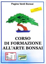 Dvd. corso formazione usato  Lozzolo