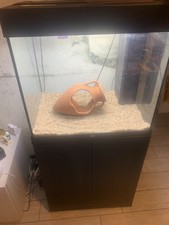 Acquario juwel 200 usato  Induno Olona