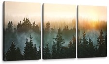Forest bathed sunlight for sale  Trenton