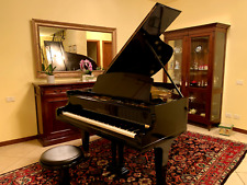 Pianoforte mezza coda usato  Italia