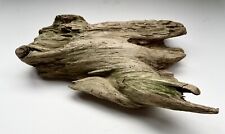 driftwood decor for sale  TAUNTON