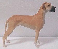 Rare best breed for sale  SCUNTHORPE