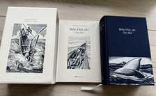 Melville moby dick gebraucht kaufen  Glückstadt