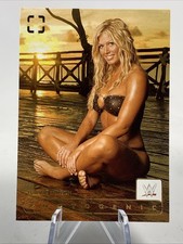 Torrie wilson 2024 for sale  USA