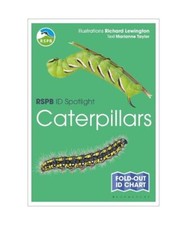 Rspb spotlight caterpillars gebraucht kaufen  Trebbin