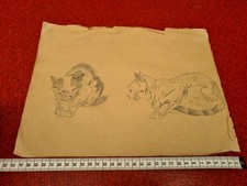 Dessin ancien chat d'occasion  Rodez
