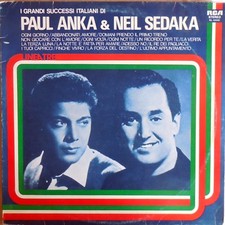 Vinile giri rpm usato  Gioia del Colle