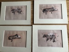 Cecil aldin dog for sale  WARMINSTER