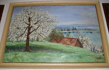 Quadro rilievo dipindo usato  Mazzarrone