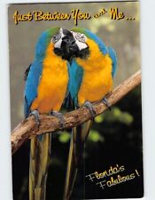 Postcard macaw parrot for sale  Shipping to Ireland
