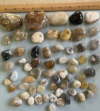 Polished oregon beach for sale  Bend