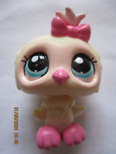 Petshop chouette hibou d'occasion  Bailleul