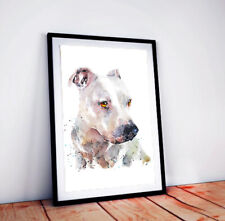 White Staffordshire Bull Terrier - Estampa aquarela. Arte branca Staffy, usado comprar usado  Enviando para Brazil