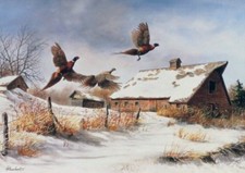 Winter flight richard for sale  Annandale