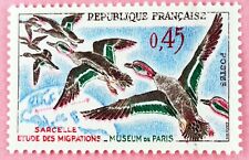 1960 sarcelle hiver d'occasion  Venelles