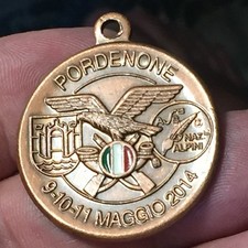 adunata pordenone alpini 2014 usato  San Pietro di Morubio