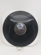 Disco vinile pointer usato  Ancona