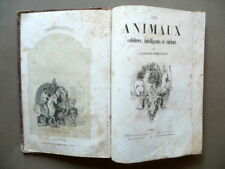 Les animaux celebres usato  Italia