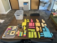 Tegu wooden magnetic for sale  Las Vegas
