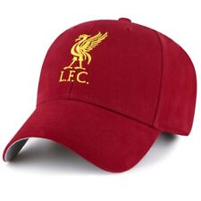 Brand new liverpool for sale  LEEDS