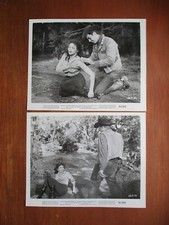 RAW EDGE 2 ORIGINAL 1956 BW FILME STILLS RORY CALHOUN, YVONNE DE CARLO EX comprar usado  Enviando para Brazil