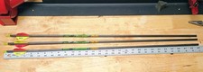 Gold tip hunter for sale  Warrenton