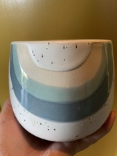 Anthropologie rainbow plant for sale  ILKESTON
