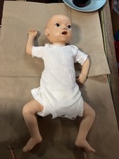 Somso anatomically correct for sale  Spokane