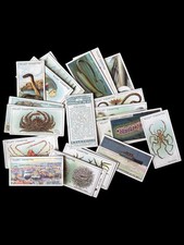 Wills cigarette cards for sale  BRISTOL