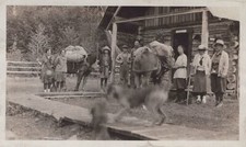 Antiga cabine ranger Washington 1920 Mt Baker pacote cavalos WA - Foto original comprar usado  Enviando para Brazil