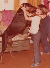 Boy playing doberman for sale  Mission