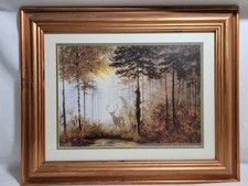 Coulson stag framed for sale  BEDALE