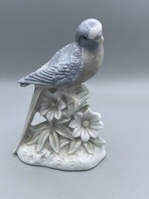 Parakeet light blue for sale  New Sharon