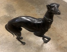 Whippet greyhound dog for sale  Sugar Valley
