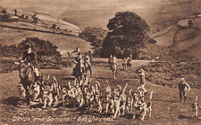 Postcard devon somerset for sale  BRISTOL