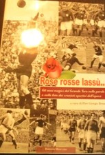 Rose rosse lassu usato  Castelnuovo Rangone