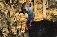 Villars domes parc d'occasion Villars domes parc d'occasion  Rioz