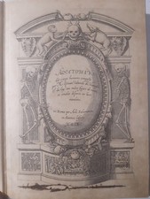 Anatomia del corpo usato  Reggio Emilia