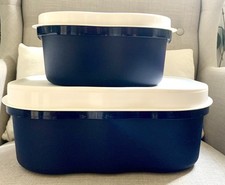 Tupperware set großer gebraucht kaufen  Großenwiehe