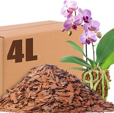 Orchid potting mix for sale  BELVEDERE