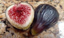 One seedling black for sale  Kingsburg
