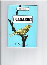 Canarini allevamento barbaccia usato  Montecchio Emilia