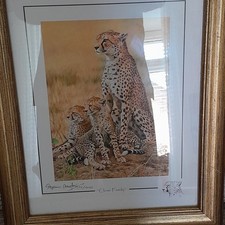 Stephen gayford print for sale  CHICHESTER