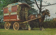 Animal postcard horse for sale  NEW MILTON