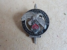 Insigne armée terre d'occasion  Villepinte