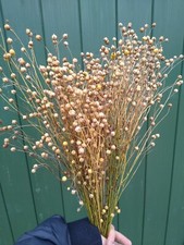 Dried flax 130g for sale  DONCASTER