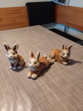 Sterhasen sterdekoration früh gebraucht kaufen  Böklund