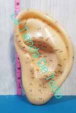 Usado, VINTAGE 8" OUVIDO HUMANO ACUPUNTURA MASSAGEM PONTO ZONA PLÁSTICO MACIO MODELO DISPLAY comprar usado  Enviando para Brazil