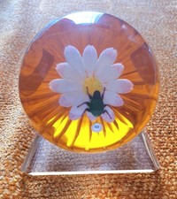 William manson paperweight for sale  MARKET HARBOROUGH